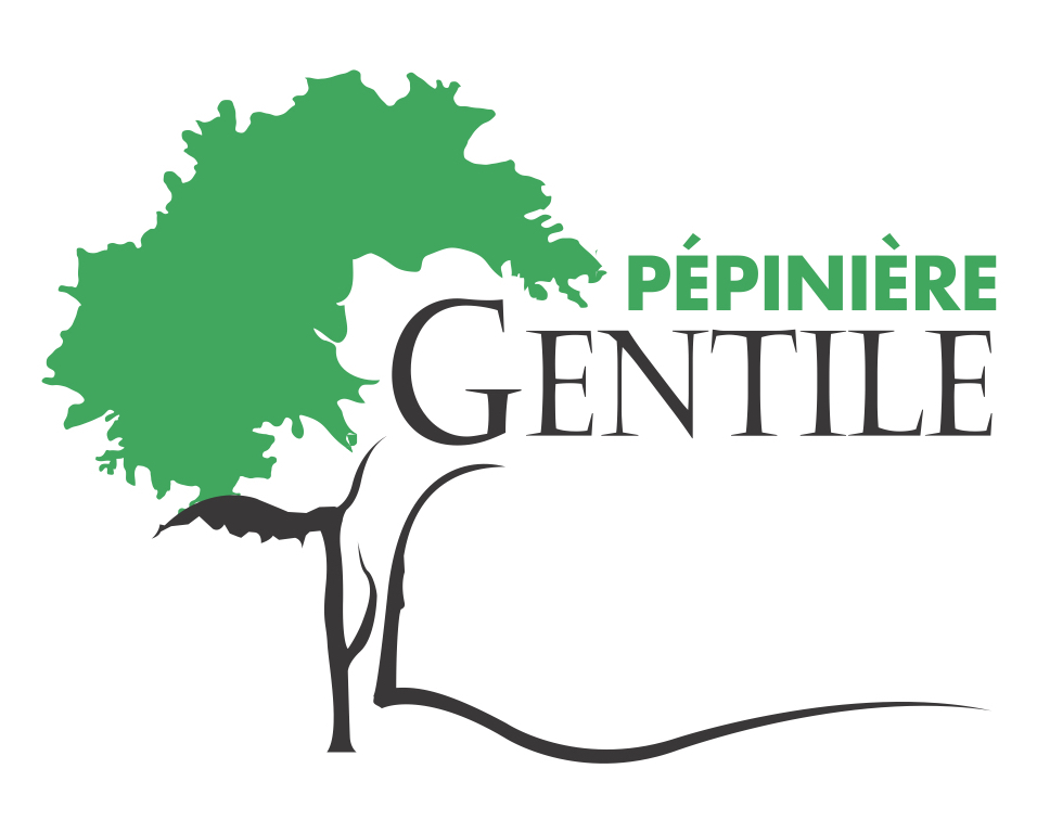 logo-gentile